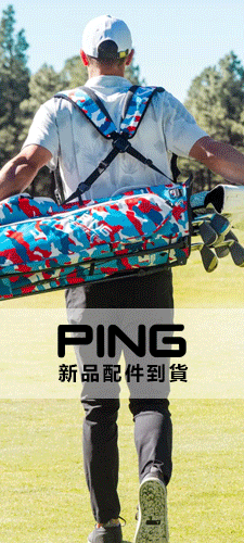 PING ts~