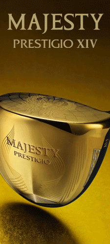 �ܻ����� ��í����!Majesty Prestigio XIV!